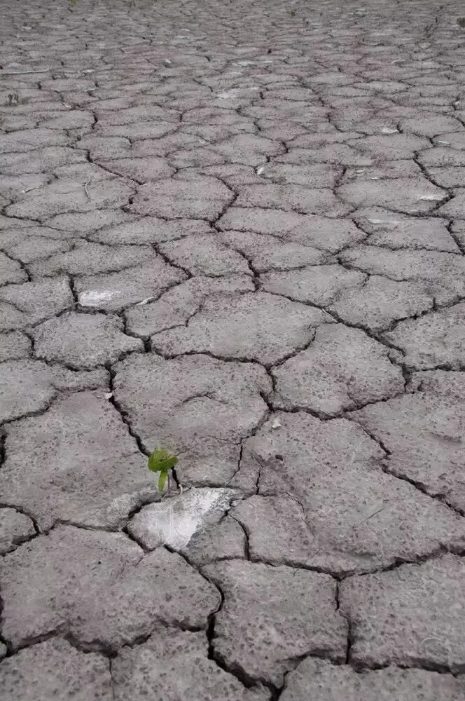 At 27, I Will Walk My Own Path, Without Regret · Fig. 3
