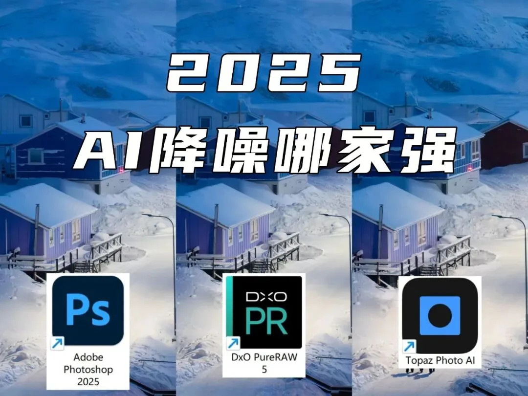 Best AI Noise Reduction in 2025? LR vs PureRAW vs Topaz in Six Scenarios · Fig. 2