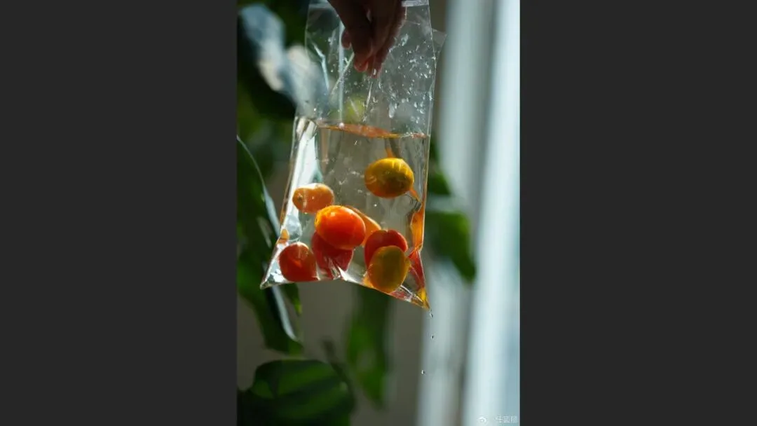 摄影爱好者手机照片获得大奖? 解读来了！