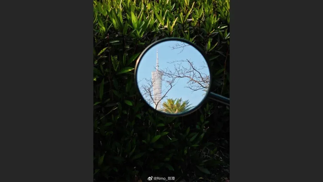 摄影爱好者手机照片获得大奖? 解读来了！