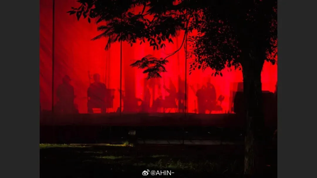 摄影爱好者手机照片获得大奖? 解读来了！