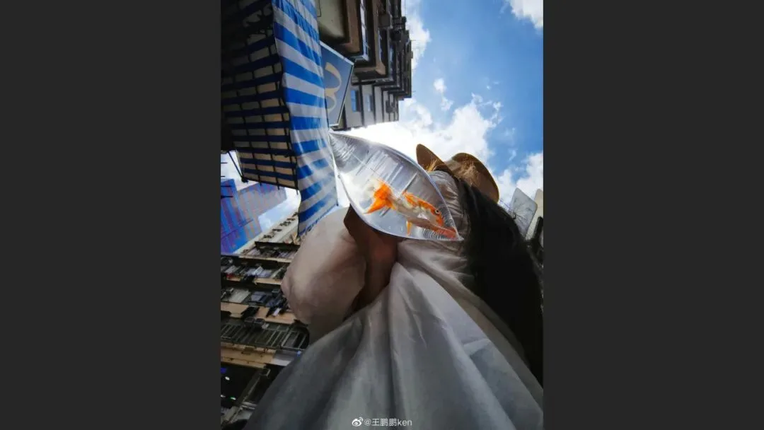 摄影爱好者手机照片获得大奖? 解读来了！