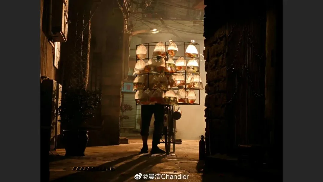 摄影爱好者手机照片获得大奖? 解读来了！
