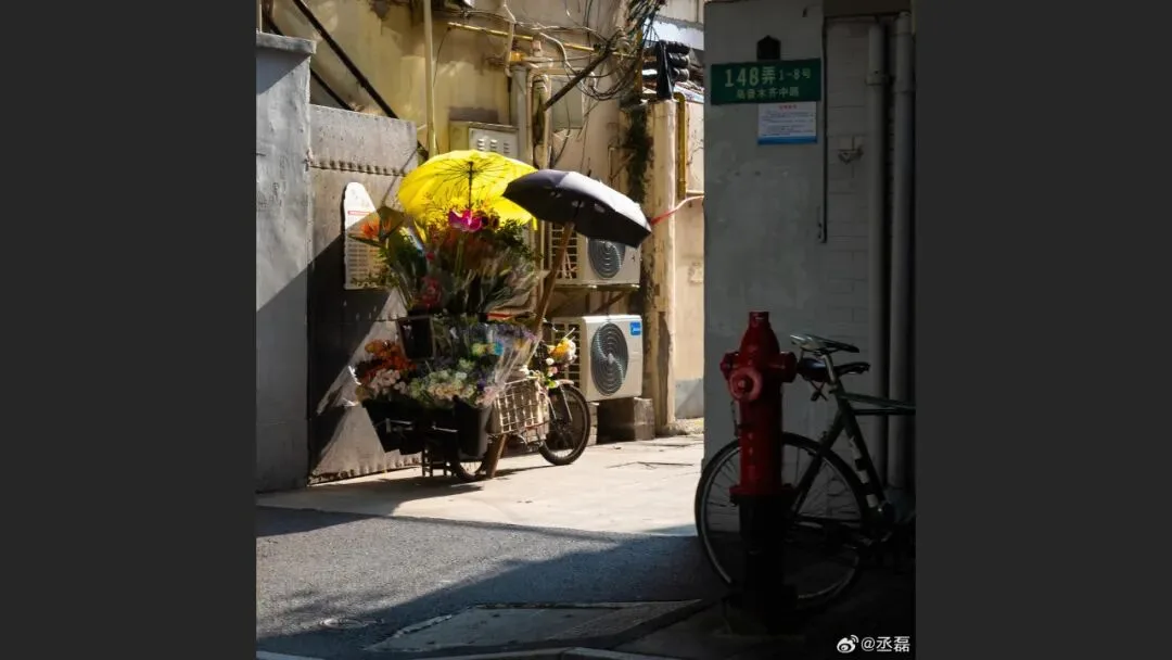 摄影爱好者手机照片获得大奖? 解读来了！