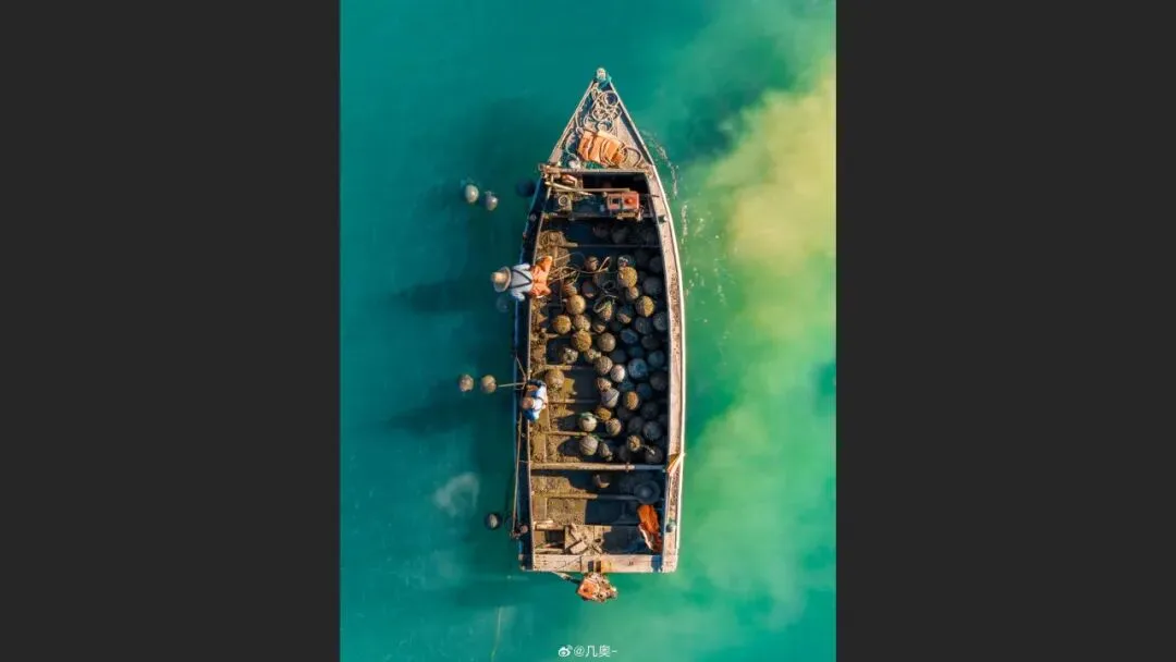 摄影爱好者手机照片获得大奖? 解读来了！