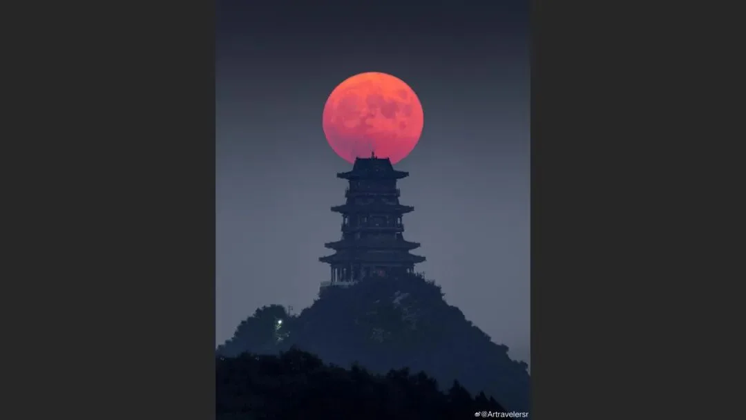 摄影爱好者手机照片获得大奖? 解读来了！