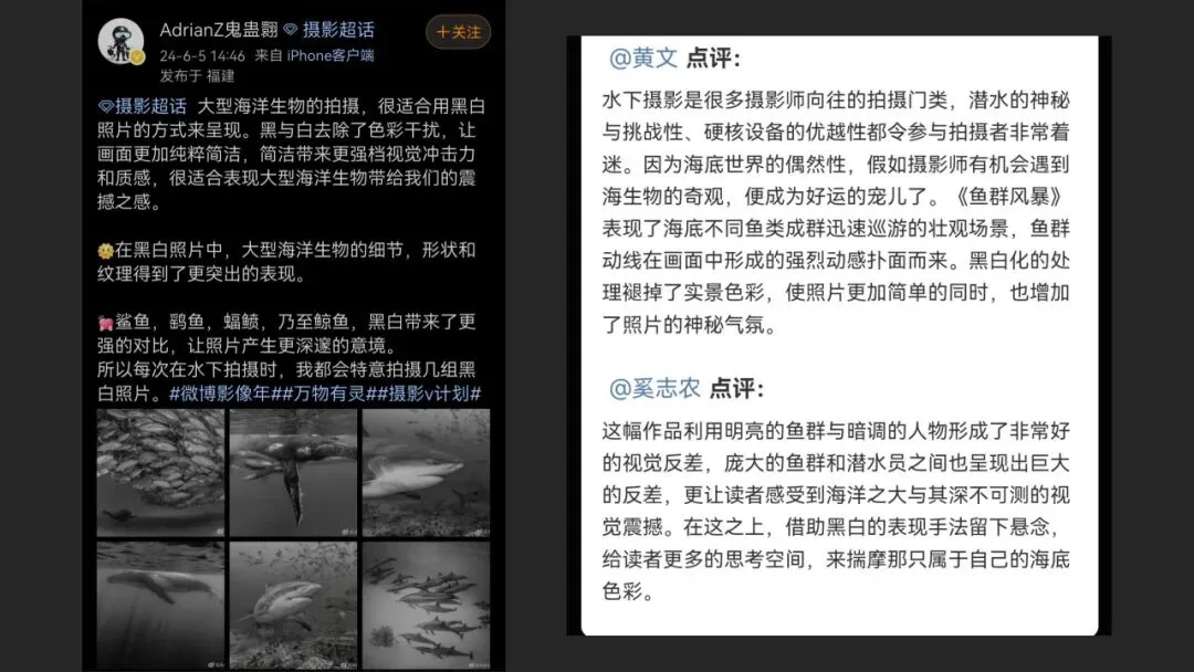 摄影爱好者手机照片获得大奖? 解读来了！