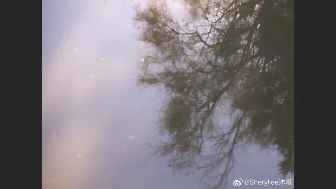 摄影爱好者手机照片获得大奖? 解读来了！