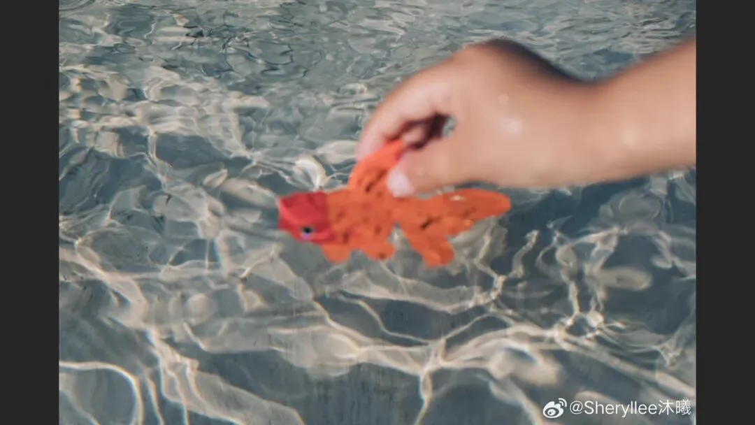 摄影爱好者手机照片获得大奖? 解读来了！