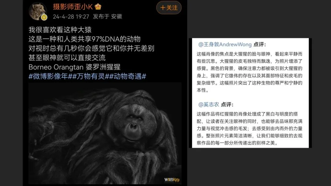 摄影爱好者手机照片获得大奖? 解读来了！