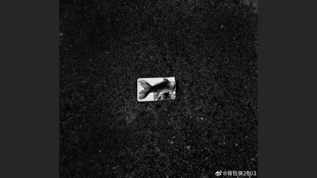 摄影爱好者手机照片获得大奖? 解读来了！