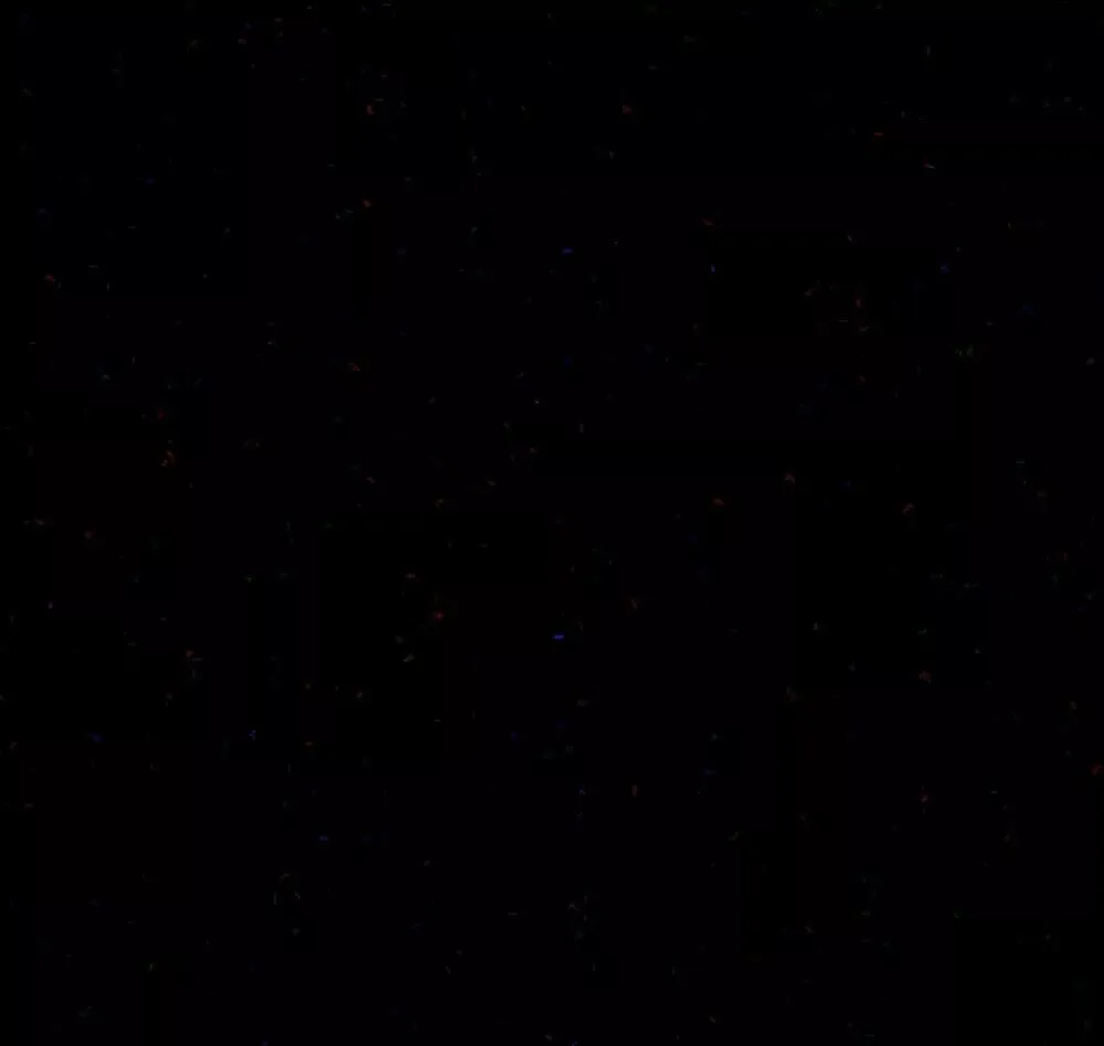 星空摄影技巧全揭秘，包括星轨拍摄与星空降噪技法! (下) · 图14