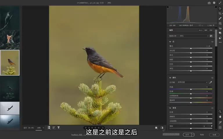 Bird Photos Can Be Graded Like This? Recreating the Instagram Teal Look · Fig. 4