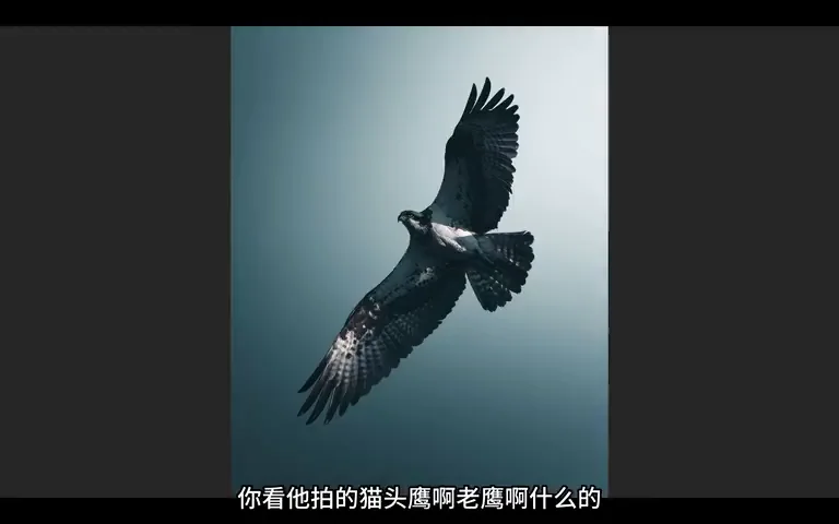 Bird Photos Can Be Graded Like This? Recreating the Instagram Teal Look · Fig. 6