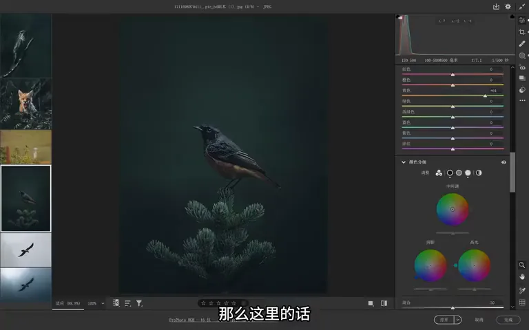 Bird Photos Can Be Graded Like This? Recreating the Instagram Teal Look · Fig. 7