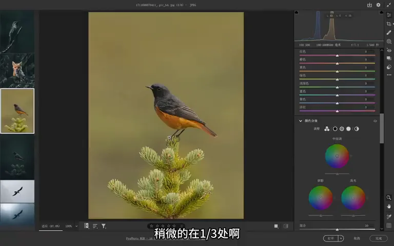 Bird Photos Can Be Graded Like This? Recreating the Instagram Teal Look · Fig. 8