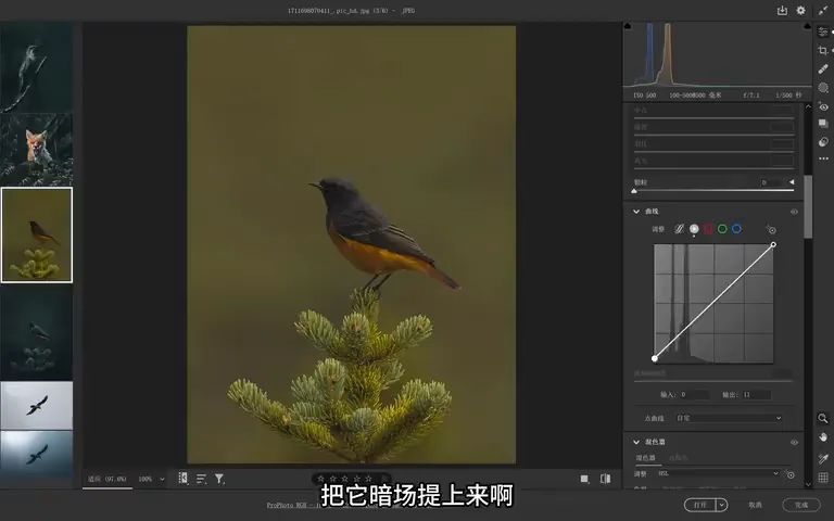 Bird Photos Can Be Graded Like This? Recreating the Instagram Teal Look · Fig. 9