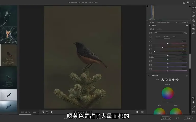 Bird Photos Can Be Graded Like This? Recreating the Instagram Teal Look · Fig. 10
