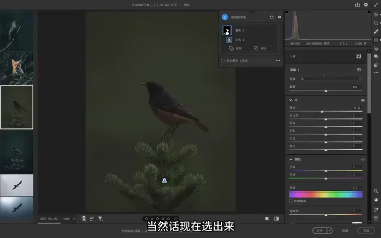 Bird Photos Can Be Graded Like This? Recreating the Instagram Teal Look · Fig. 11