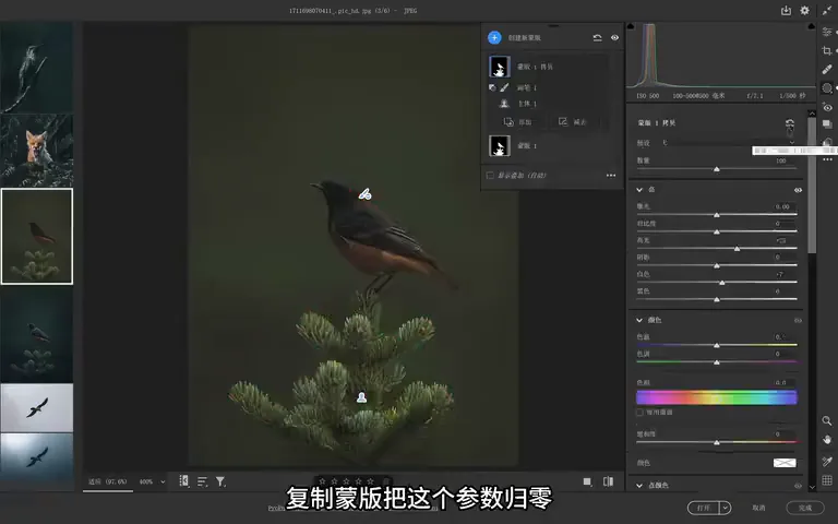 Bird Photos Can Be Graded Like This? Recreating the Instagram Teal Look · Fig. 12