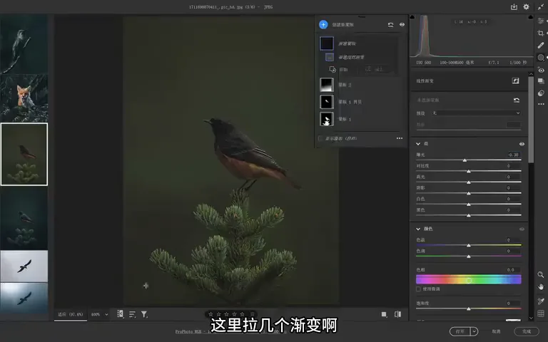 Bird Photos Can Be Graded Like This? Recreating the Instagram Teal Look · Fig. 13
