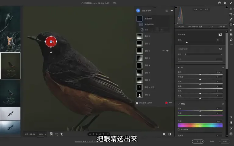 Bird Photos Can Be Graded Like This? Recreating the Instagram Teal Look · Fig. 14