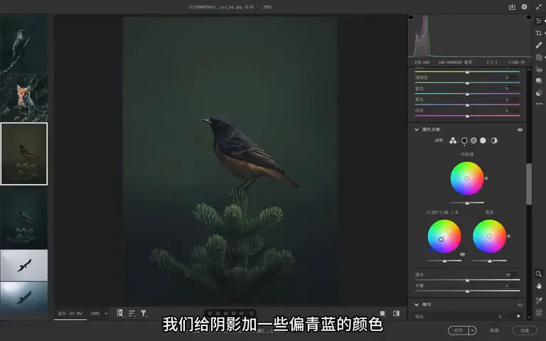 Bird Photos Can Be Graded Like This? Recreating the Instagram Teal Look · Fig. 15