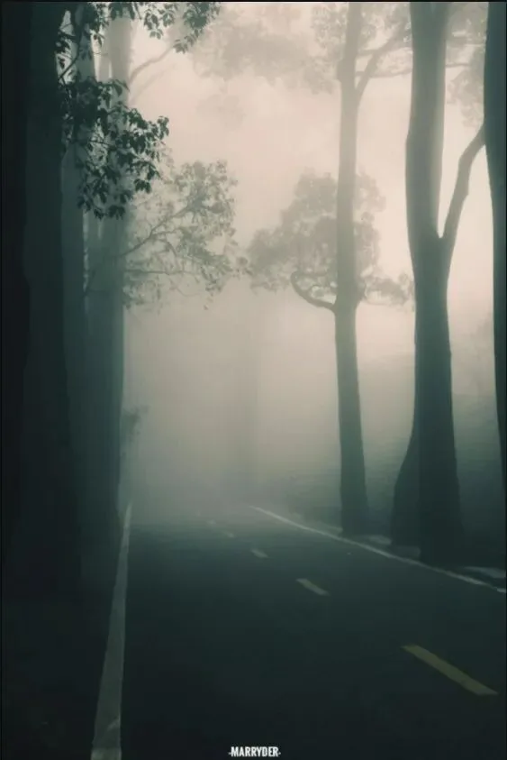 这些各具特色的中国风景，你最喜欢哪一张呢？ · 图13