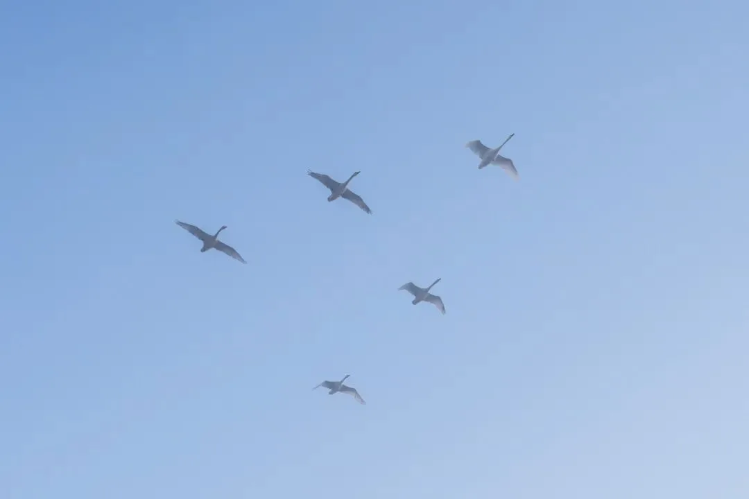 给风景以文明 - 风光摄影师的2023拍摄总结 · 图115