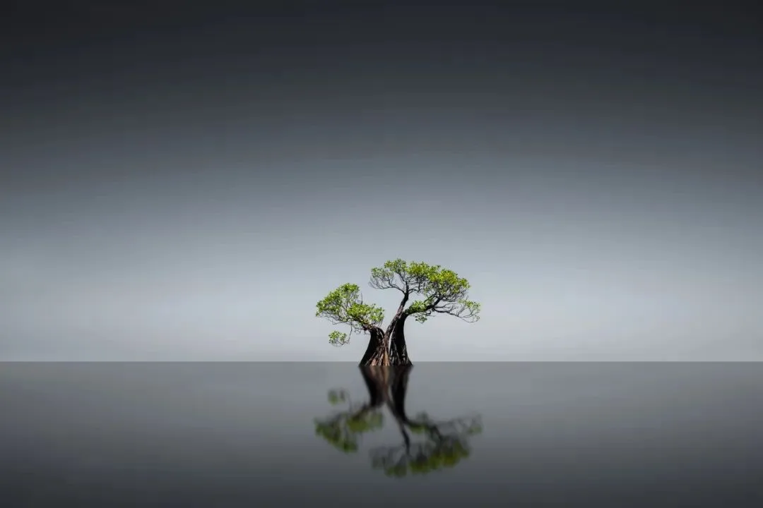 给风景以文明 - 风光摄影师的2023拍摄总结 · 图99
