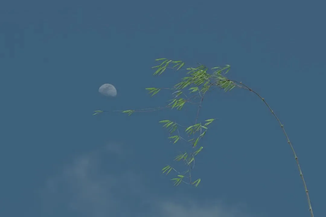 给风景以文明 - 风光摄影师的2023拍摄总结 · 图100