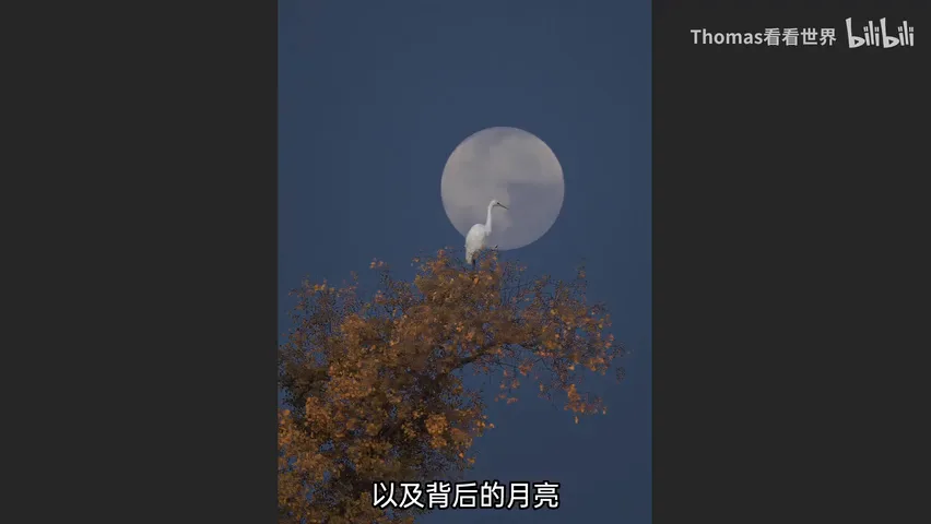 无云晴天怎么拍？三个思路在光板天拍出大片！ · 图4
