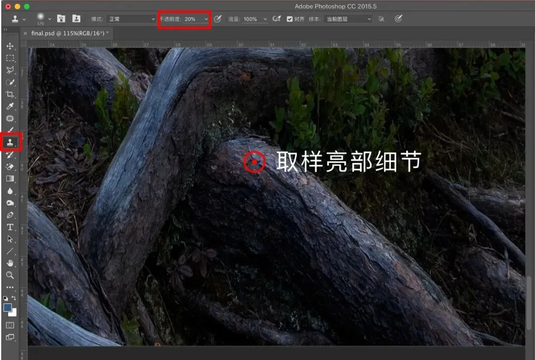 Advanced Uses of the Clone Stamp Tool in Landscape Retouching · Fig. 10