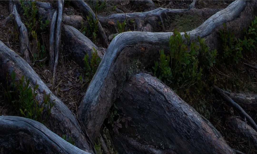 Advanced Uses of the Clone Stamp Tool in Landscape Retouching · Fig. 11