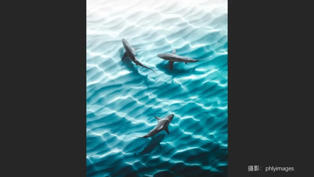 What Makes Color Grading Look Good? 3 Rules Distilled from Viral Photos · Fig. 24