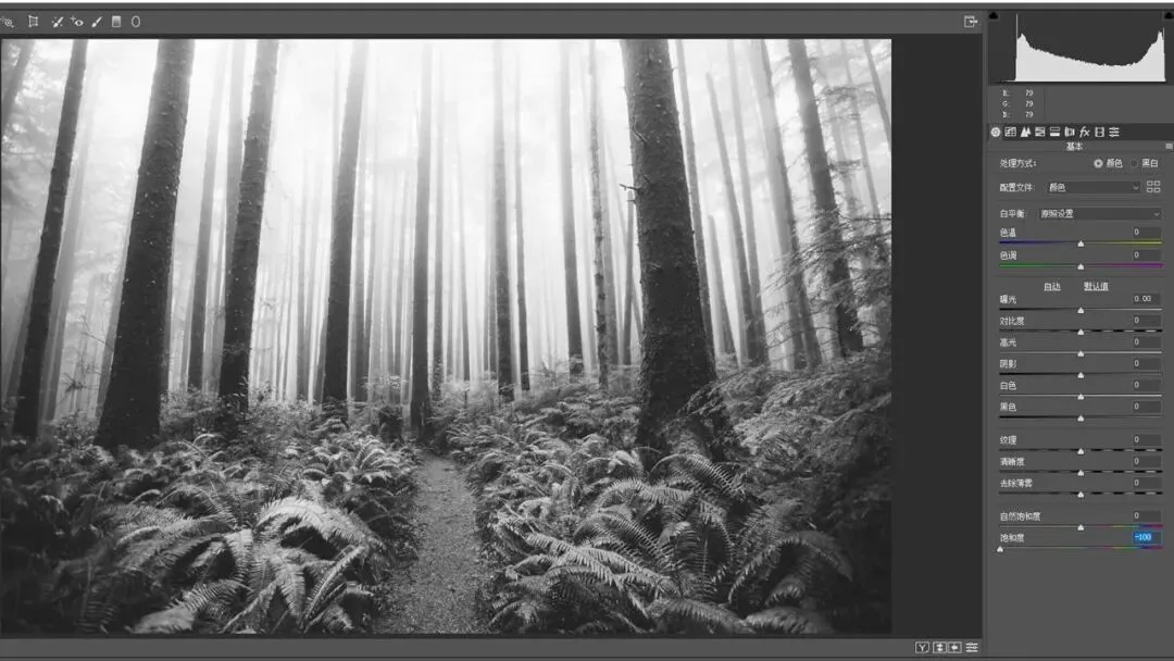 What Makes Color Grading Look Good? 3 Rules Distilled from Viral Photos · Fig. 41