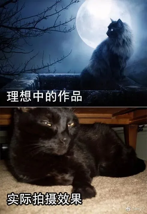 光会减法还不够，如何做好摄影中的“加法”？ · 图5