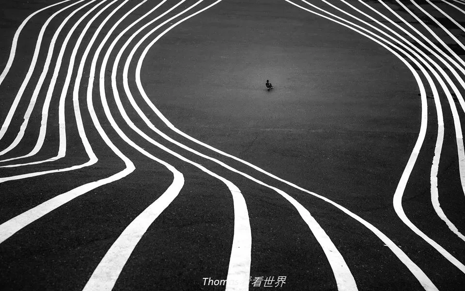 Repetition and Echo: A Key Composition Concept from 10,000 Photos · Fig. 56