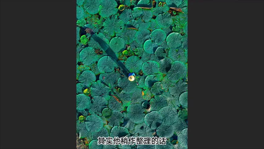 照片画蛇添足？摄影比赛评委分享常见投稿误区！ · 图9