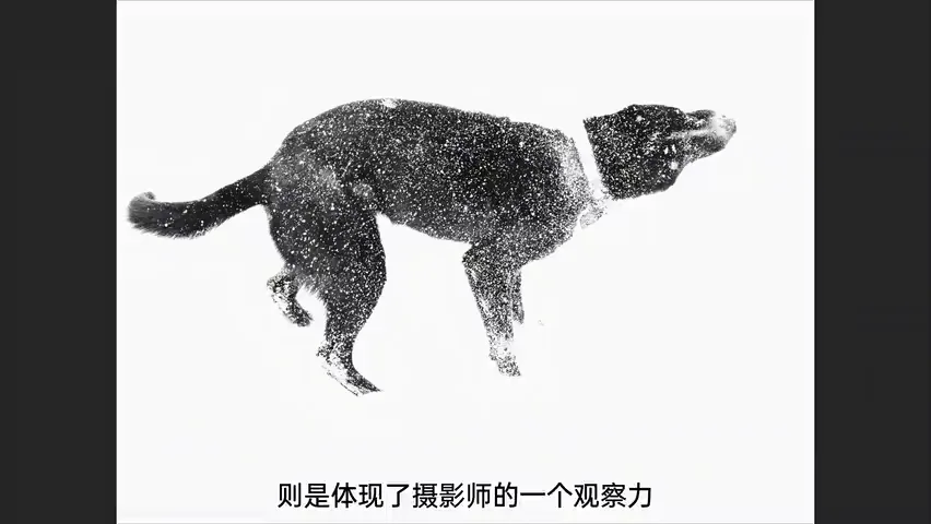 照片画蛇添足？摄影比赛评委分享常见投稿误区！ · 图12