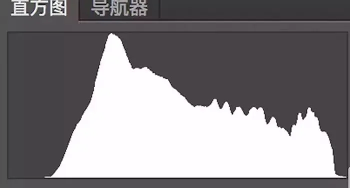 《纽摄》早已过时，数码时代如何正确曝光 · 图2
