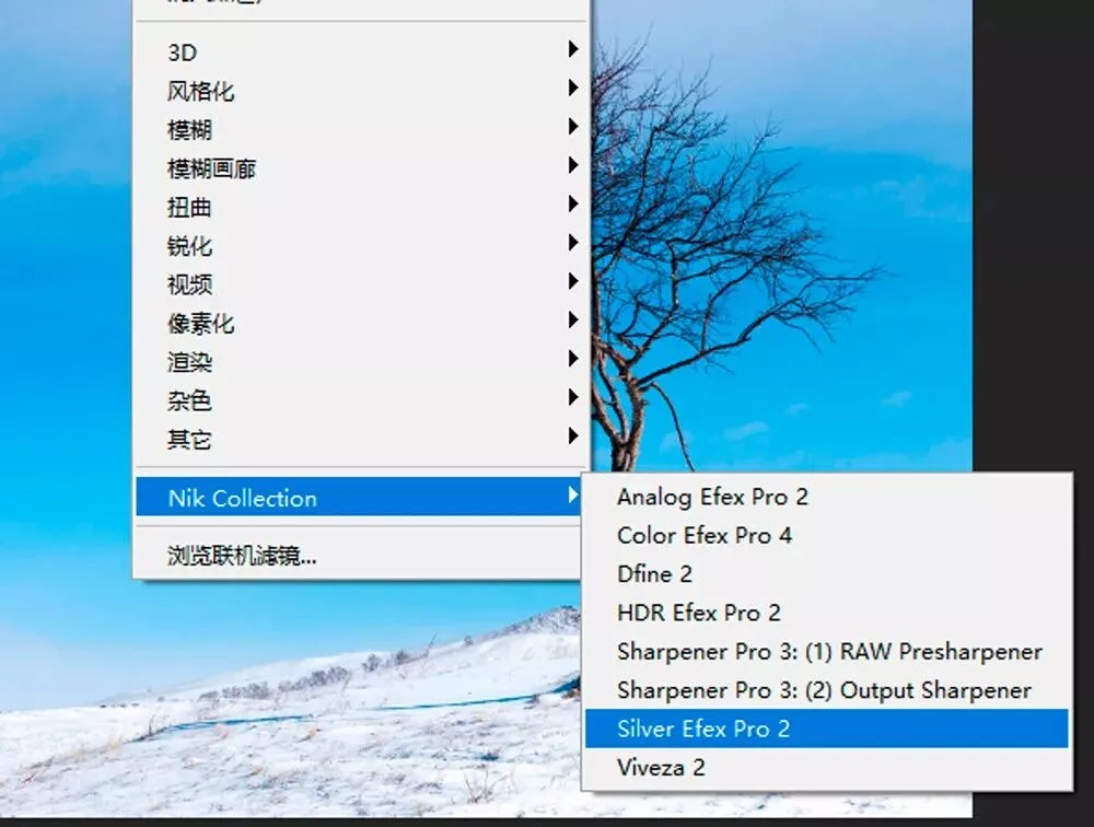 托马斯给你评片啦 | 小小一颗树, 拍好不容易！ · 图10