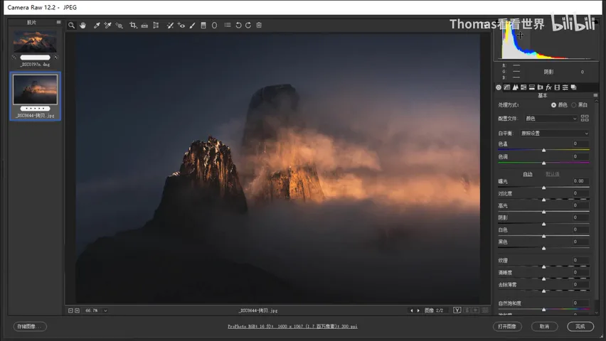 How to Edit Dark, Magical-Style Photos: A Few Steps in Camera Raw · Fig. 2