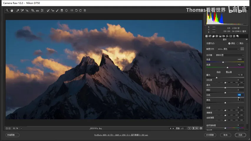 How to Edit Dark, Magical-Style Photos: A Few Steps in Camera Raw · Fig. 4