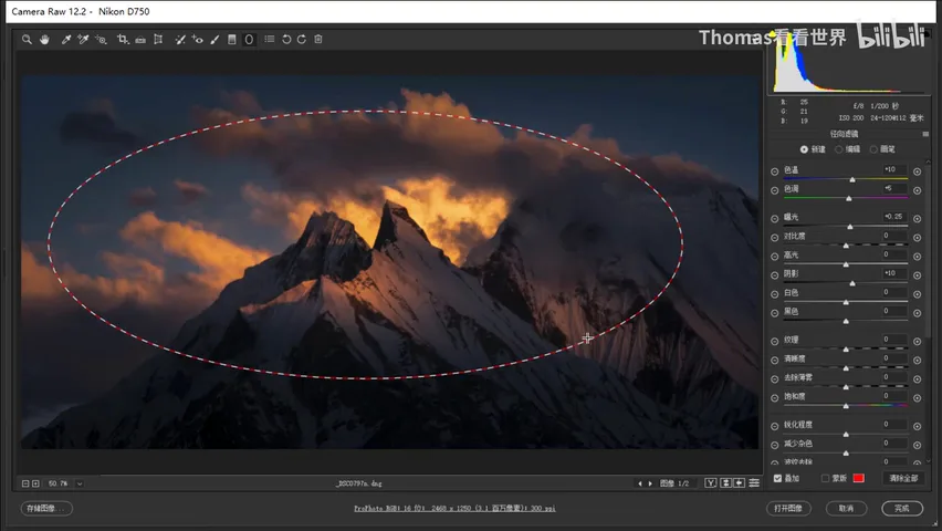 How to Edit Dark, Magical-Style Photos: A Few Steps in Camera Raw · Fig. 8