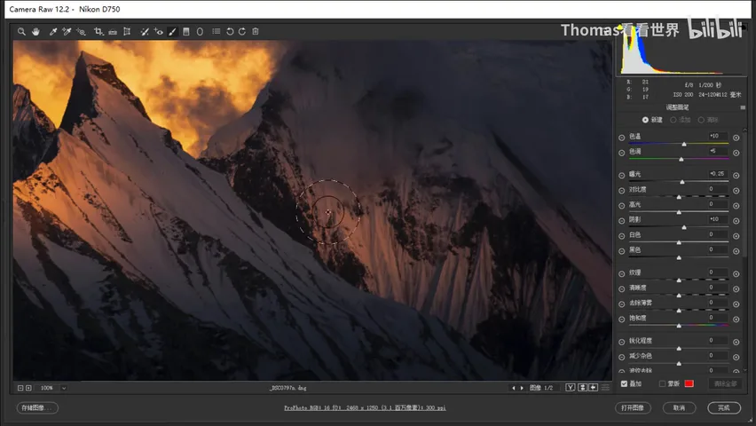 How to Edit Dark, Magical-Style Photos: A Few Steps in Camera Raw · Fig. 9