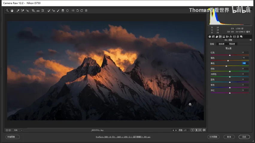 How to Edit Dark, Magical-Style Photos: A Few Steps in Camera Raw · Fig. 11