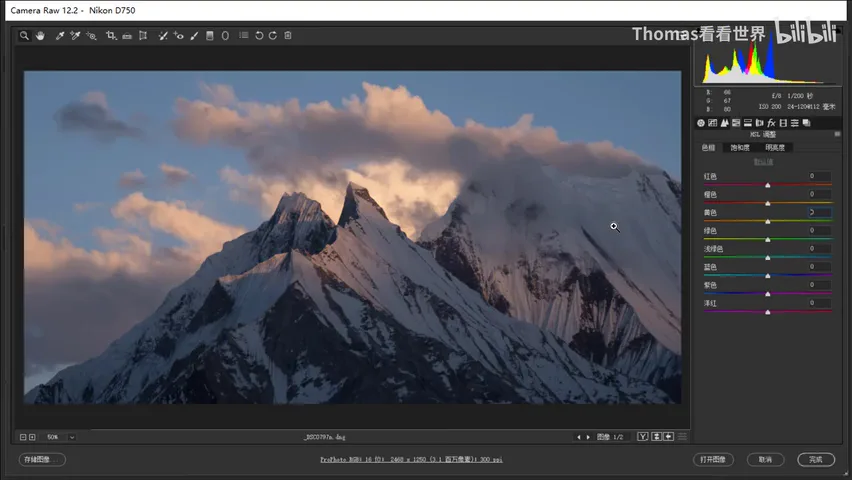 How to Edit Dark, Magical-Style Photos: A Few Steps in Camera Raw · Fig. 10