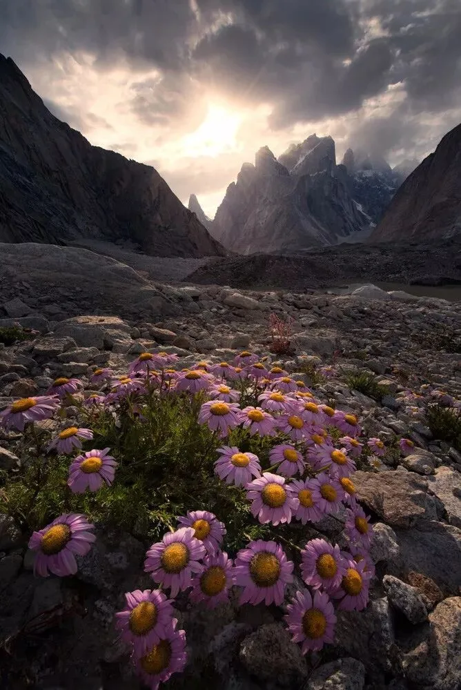 Five Tricks to Give Your Photos Depth and Dimension · Fig. 32