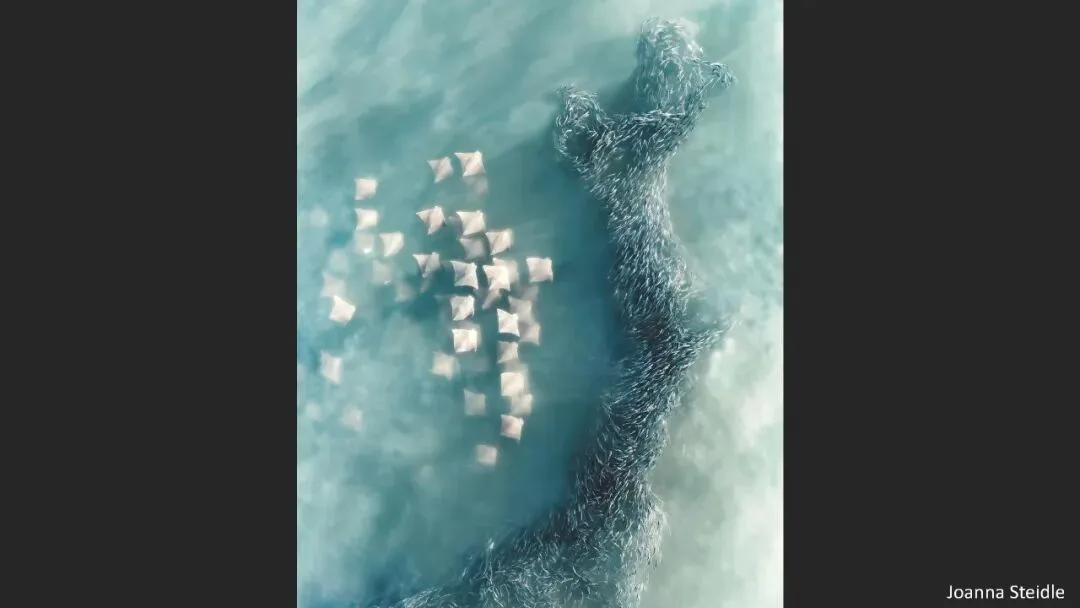 A Judge Reveals the Criteria! Appreciation and Commentary on the DJI 10th Anniversary Aerial Photography Awards!